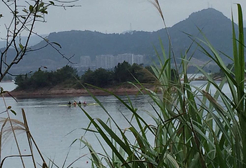 千岛湖羡山半岛运动基地第 8 张图片