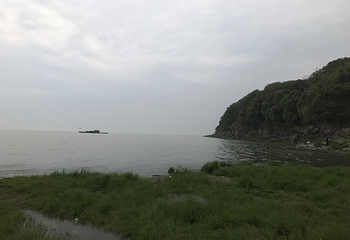 岳阳楼景区第 204 张图片