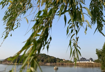 九龙灌浴第 7 张图片