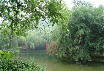 七星景区第 102 张图片