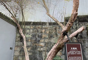 白公馆第 45 张图片