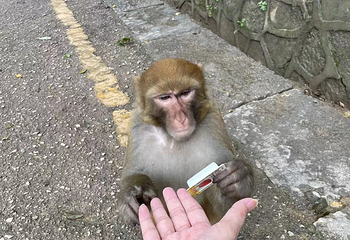 弘福寺第 8 张图片