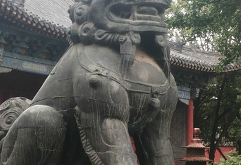 曲阜三孔景区第 84 张图片