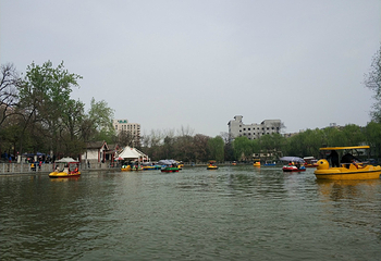莲湖公园第 23 张图片