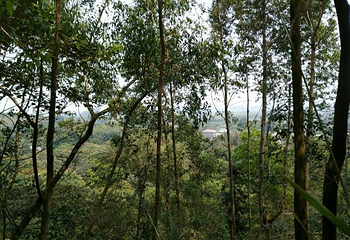 九道山生态旅游区第 84 张图片