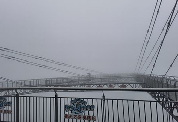 梦幻奥陶纪景区第 41 张图片