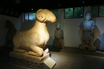 龟山汉墓第 132 张图片