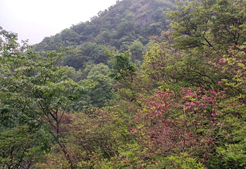 英山县天马寨风景区第 16 张图片