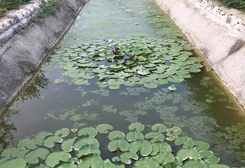 玫瑰庄园第 8 张图片