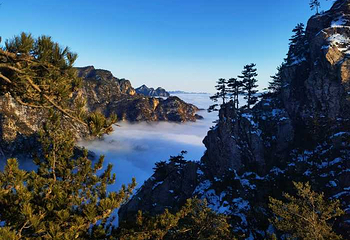 老界岭旅游度假区第 61 张图片