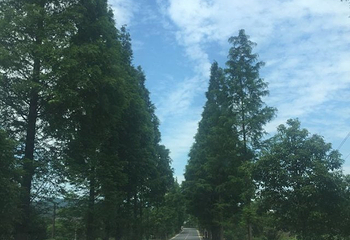 大围山自由岛森谷探险漂流第 55 张图片