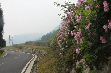 太阳湾风景区第 59 张图片
