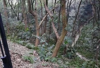 金鄂山公园第 14 张图片