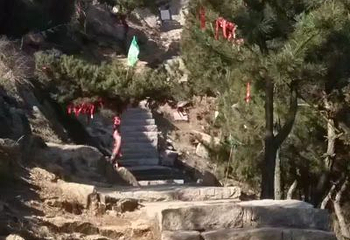 珠山国家森林公园第 31 张图片