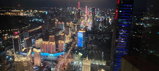 地王观光·深港之窗第 47 张图片