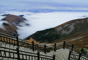 太白山国家森林公园第 60 张图片