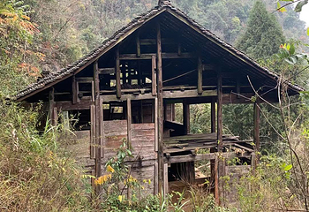 平塘天坑群景区第 14 张图片