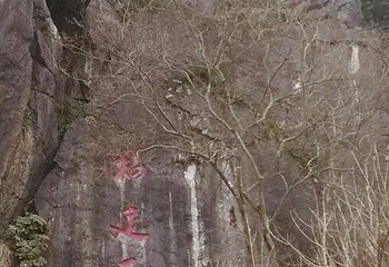 鳞隐石林第 30 张图片