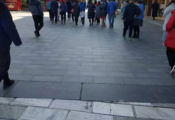 灵谷景区第 45 张图片