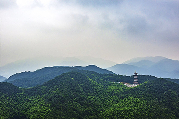 会稽山龙华寺第 11 张图片