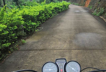泰康山生态旅游区第 4 张图片