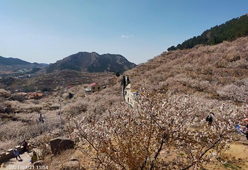 北宅生态旅游区第 1 张图片