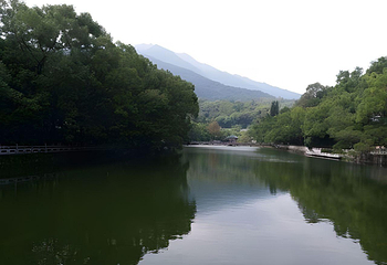 广东罗浮山风景名胜区第 63 张图片