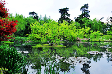 西湖风景名胜区第 498 张图片