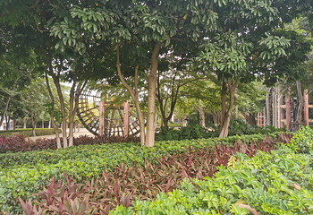 厦门园林博览苑第 156 张图片