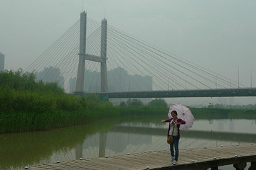 银滩湿地公园第 11 张图片