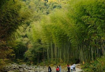 浙东小九寨第 68 张图片