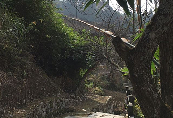 桂峰古村落景区第 45 张图片