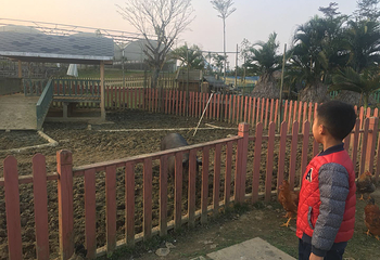 猪哈哈的农场第 50 张图片