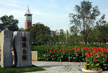 上海惠民公园第 4 张图片