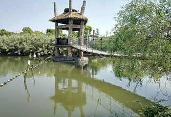 金仓湖第 25 张图片