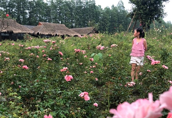 梦里水乡第 11 张图片