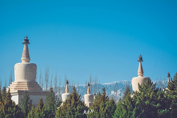 凉州白塔寺第 42 张图片
