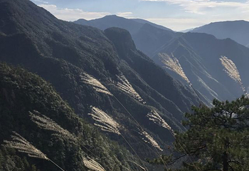 龙泉山旅游区第 49 张图片