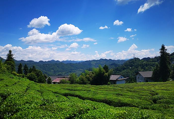 狮子关旅游区第 50 张图片