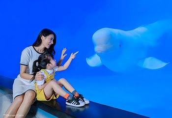 正佳极地海洋世界第 17 张图片