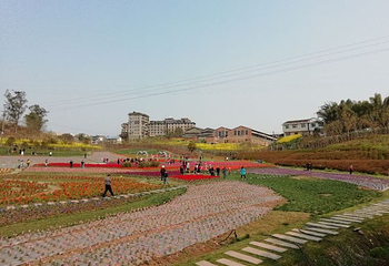 观音湖第 70 张图片