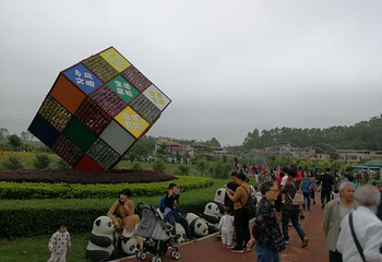 大埔围美丽乡村景区第 11 张图片