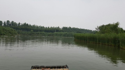 芦苇饭店第 24 张图片