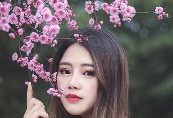 郴州樱花谷第 25 张图片
