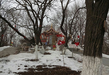 高尔山冰雪大世界第 14 张图片