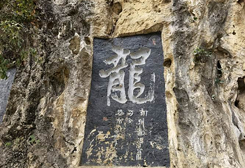龙潭公园第 25 张图片