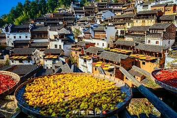 婺源篁岭景区第 255 张图片
