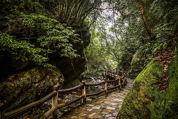 亚木沟风景区第 61 张图片