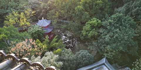 李庄文化旅游度假区第 80 张图片