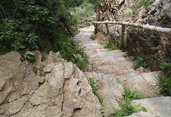 九龙潭自然风景区第 31 张图片